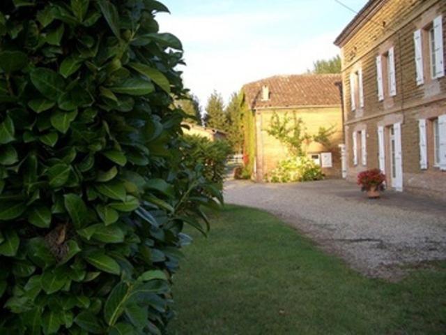 Le Platane Bed and Breakfast Lafrançaise Εξωτερικό φωτογραφία